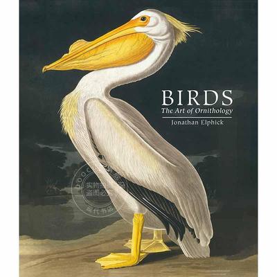 鸟类 鸟类学的艺术 手绘艺术画集口袋版本 Jonathan Elphick 英文原版 Birds: The Art of Ornithology
