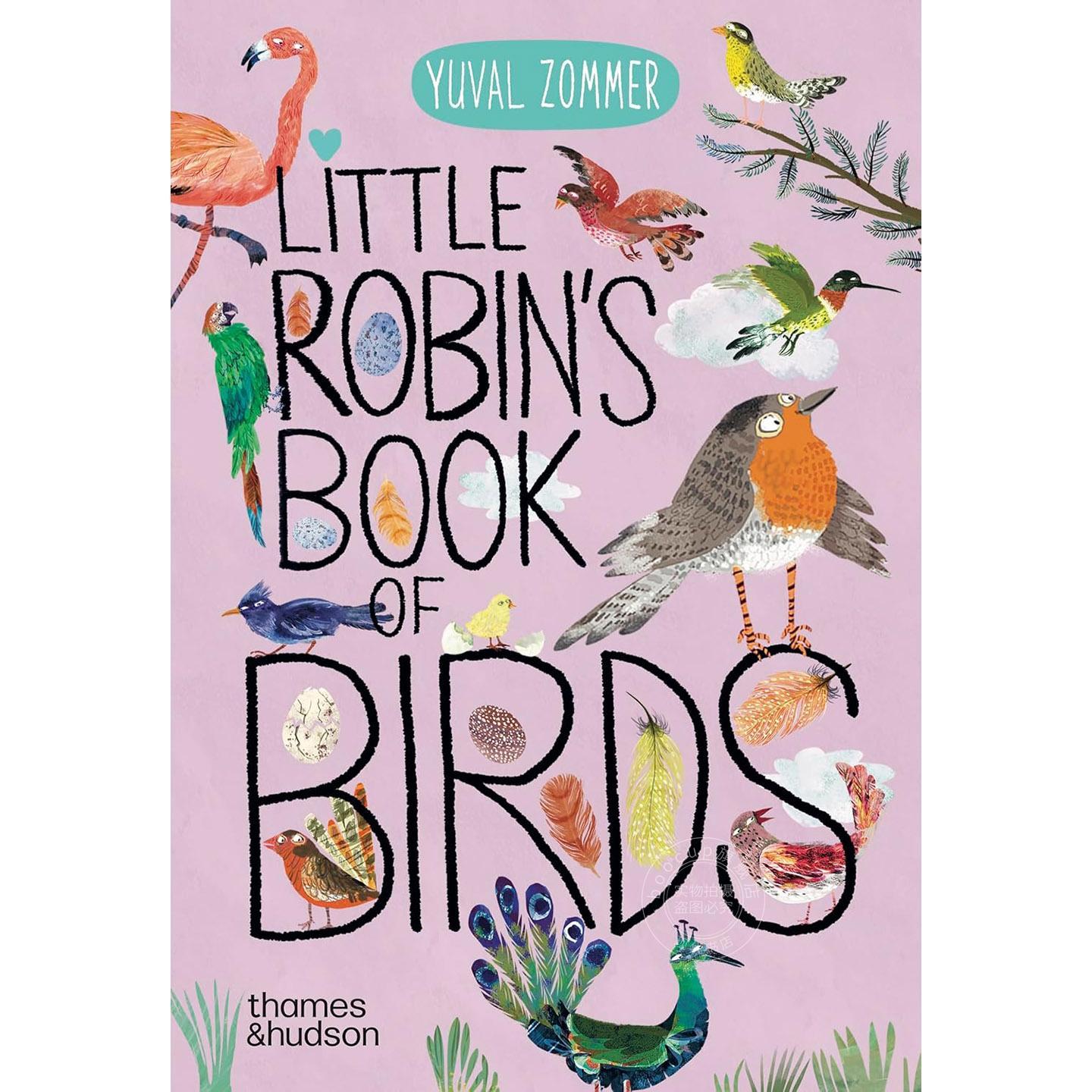 小知更鸟的鸟类图鉴 儿童科普绘本 Thames & Hudson出版社 英文原版 Little Robin's Book of Birds 0-4岁