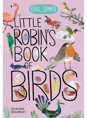 小知更鸟的鸟类图鉴 儿童科普绘本 Thames & Hudson出版社 英文原版 Little Robin's Book of Birds 0-4岁