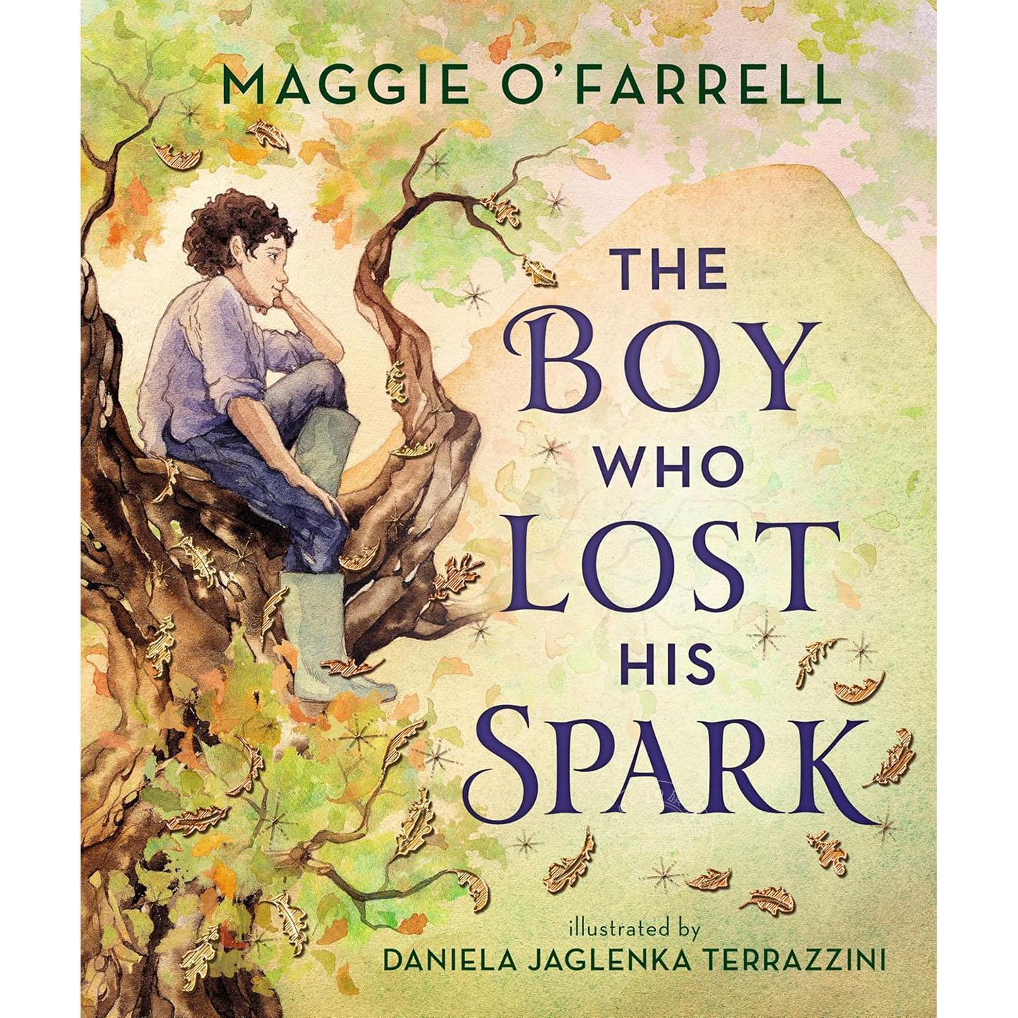 丢失火花的男孩 儿童故事书 英语绘本 你走以后作者 玛姬·欧法洛 Maggie O'Farrell 英文原版 The Boy Who Lost His Spark 6-9岁
