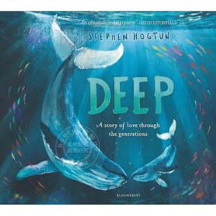 Stephen Hogtun 英文原版 现货 儿童绘本故事书 DEEP 5岁 深海