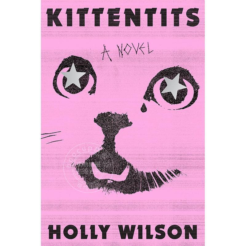 小猫 Holly Wilson 惊悚悬疑小说 英文原版 Kittentits