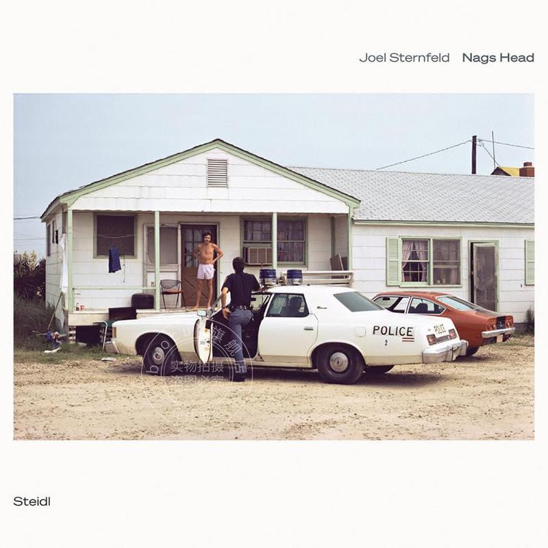 乔·斯坦菲尔德摄影集：纳格斯黑德 艺术画册 英文原版 Joel Sternfeld: Nags Head