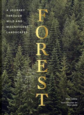 现货 森林：树木摄影集、自然与世界摄影集 Matt Collins 英文原版 Forest: (Tree Photography Book, Nature and World Photo Boo