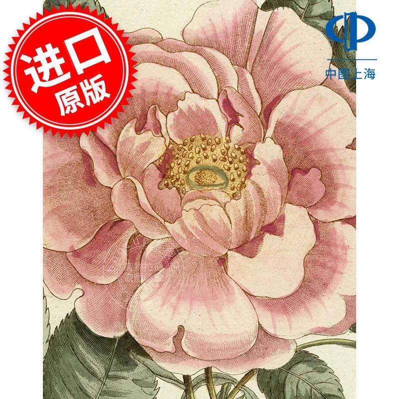 约翰?德里安画集2 复古手绘艺术画集 英文原版 John Derian Picture Book II