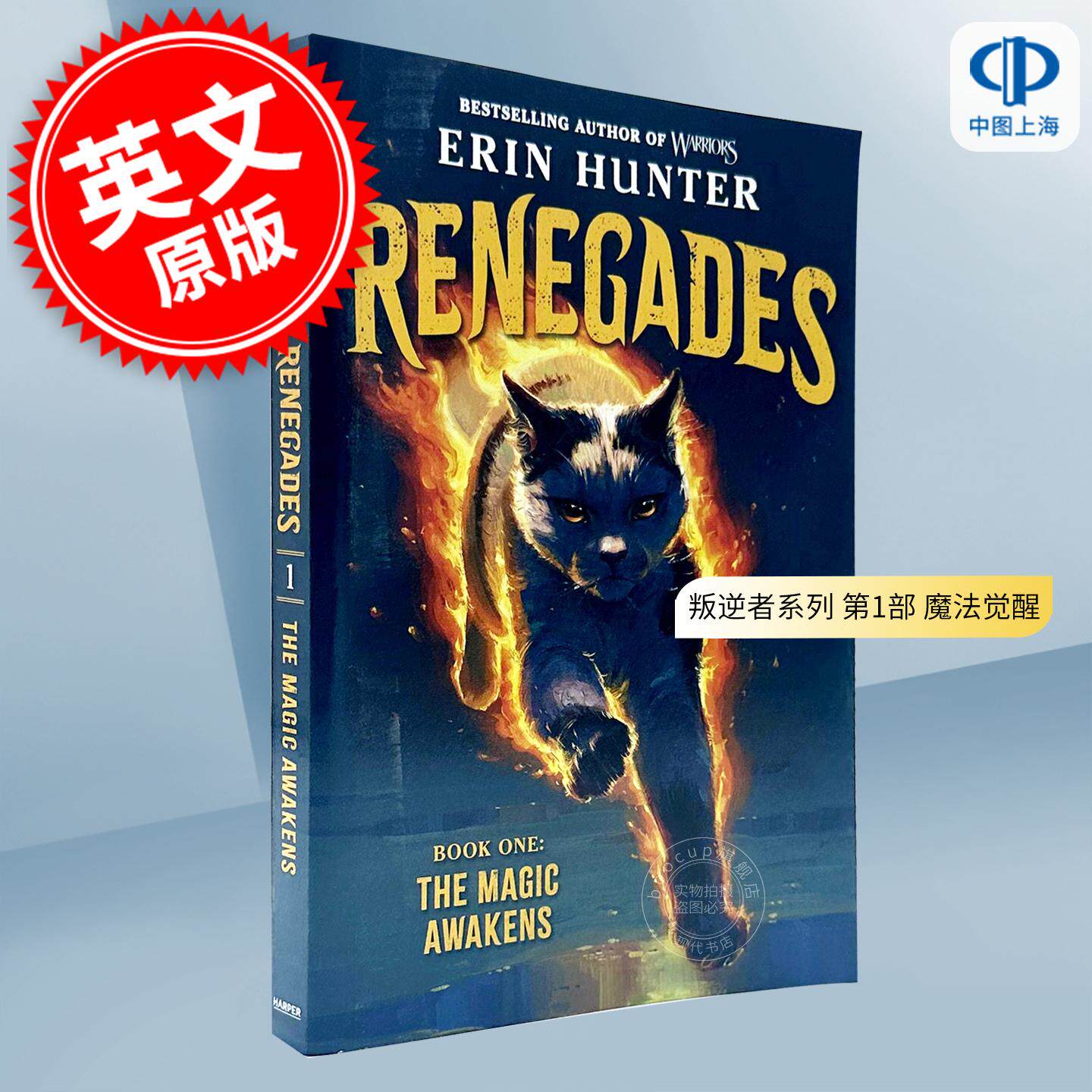 叛逆者系列 第1部 魔法觉醒 青少年儿童读物 英文原版 Renegades #1: The Magic Awakens 8-12岁