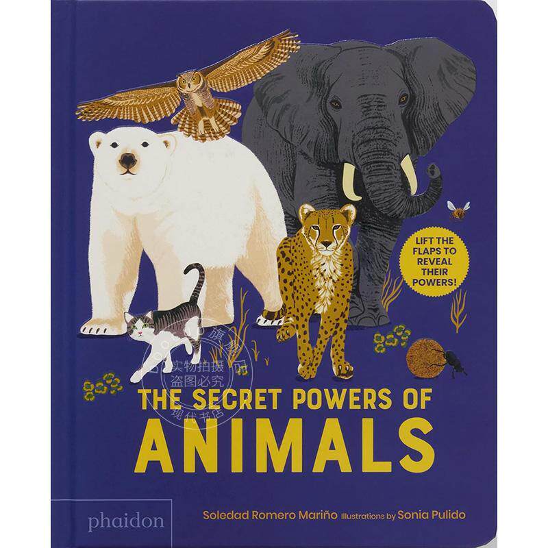 动物们的秘密力量 英文原版 The Secret Powers of Animals 儿童纸板书1-3岁