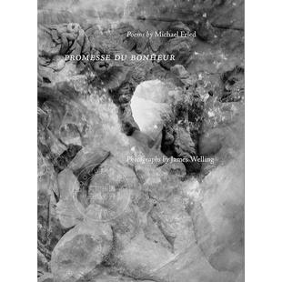 英文原版 Promesse Michael 幸福 Fried 艺术摄影集 承诺 Bonheur 预售
