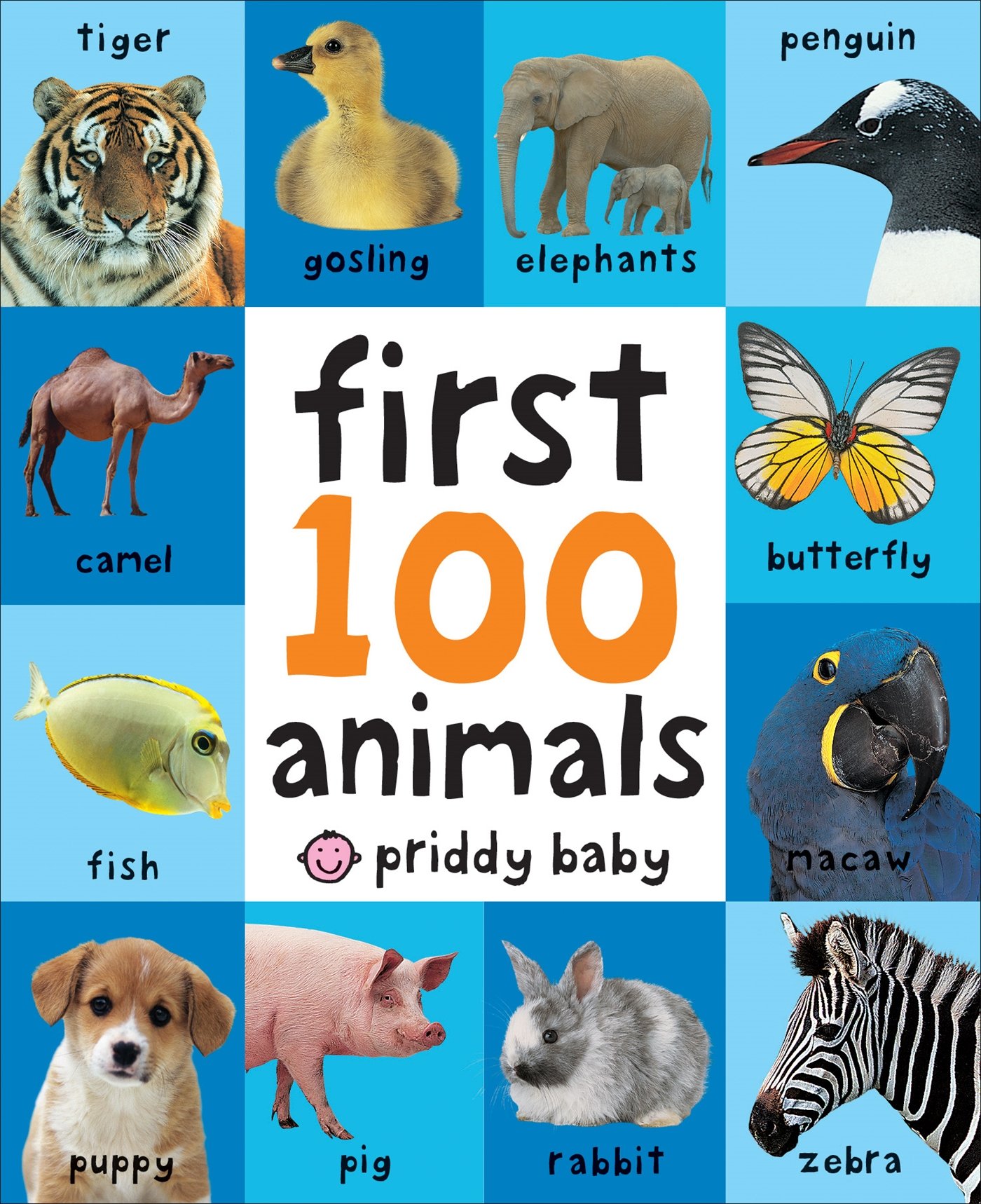 现货 英文原版 First 100 Animals 儿童启蒙绘本 精装纸板书 认识动物学单词 宝宝感知世界图片书 儿童绘本 低幼 撕不烂纸板书