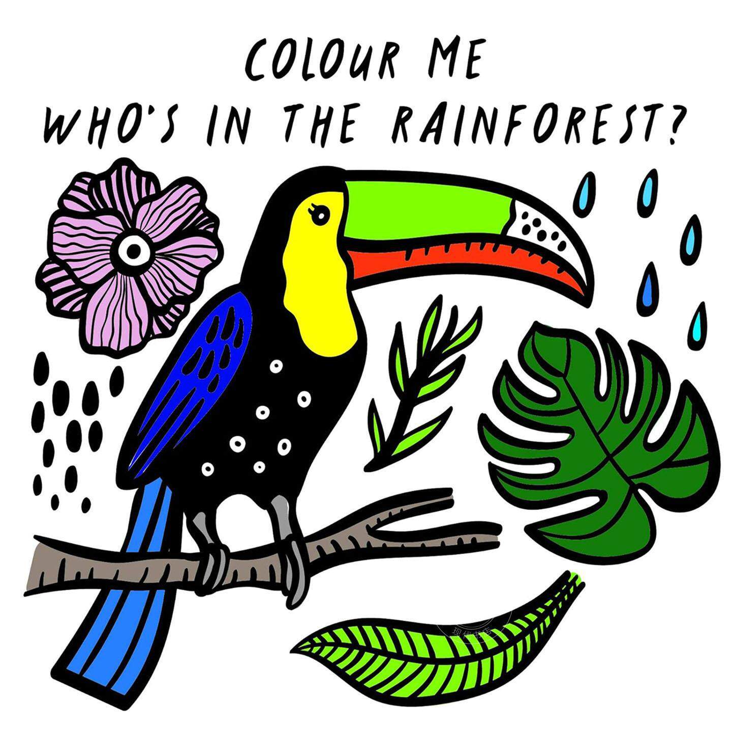 预售 涂色书:雨林里有谁?儿童绘本故事洗澡书 Surya Sajnani 英文原版 Colour Me: Who's in the Rainforest? 0-3岁