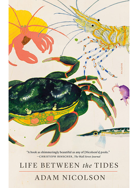 潮汐之间的生活 英文原版 Life Between the Tides