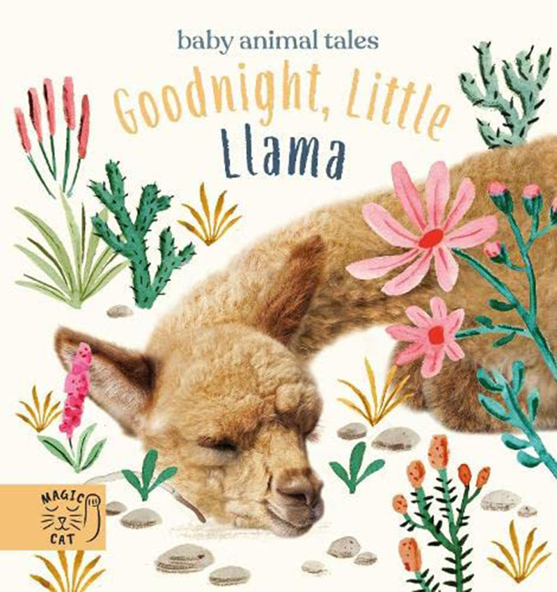现货 晚安小羊驼 儿童小动物绘本故事纸板书 英文原版 Goodnight, Little Llama Magic Cat绘本