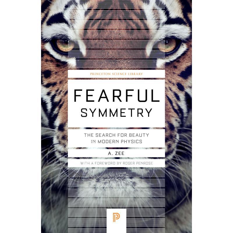 预售 Fearful Symmetry可畏的对称：现代物理学中的美的探索