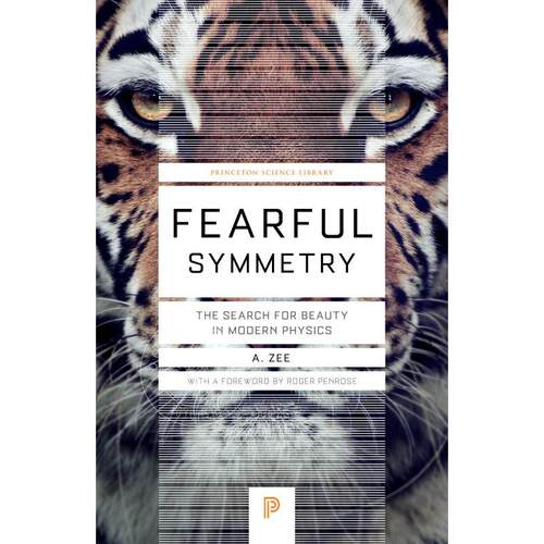 预售 Fearful Symmetry可畏的对称：现代物理学中的美的探索