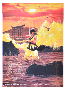 NEOGEO视觉史画册侍魂拳皇