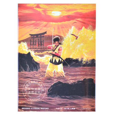 NEOGEO视觉史画册侍魂拳皇