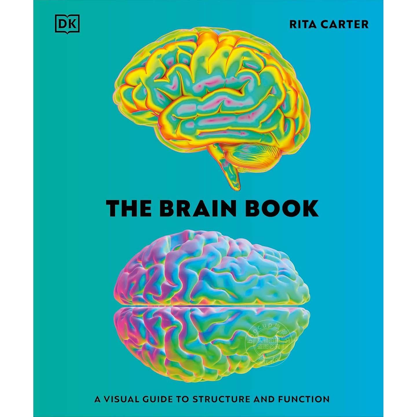 大脑图鉴：结构与功能的视觉指南 DK出版社 英文原版 The Brain Book: A Visual Guide to Structure and Function