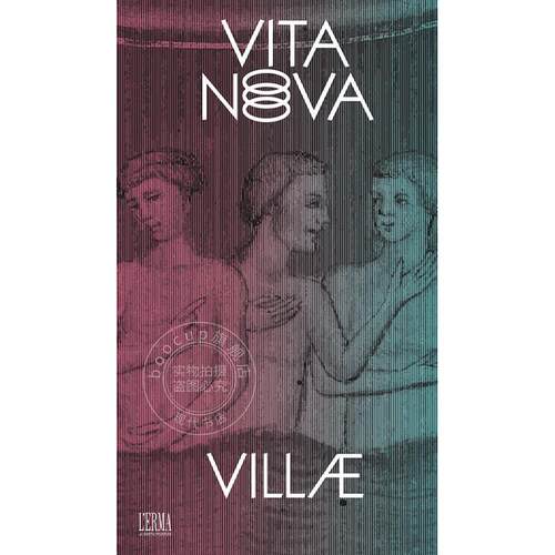 Vita Nova 新千年光芒下的意大利艺术 英文原版 艺术画册 Vita Nova Art in Italy Under the Light of the New Millenium
