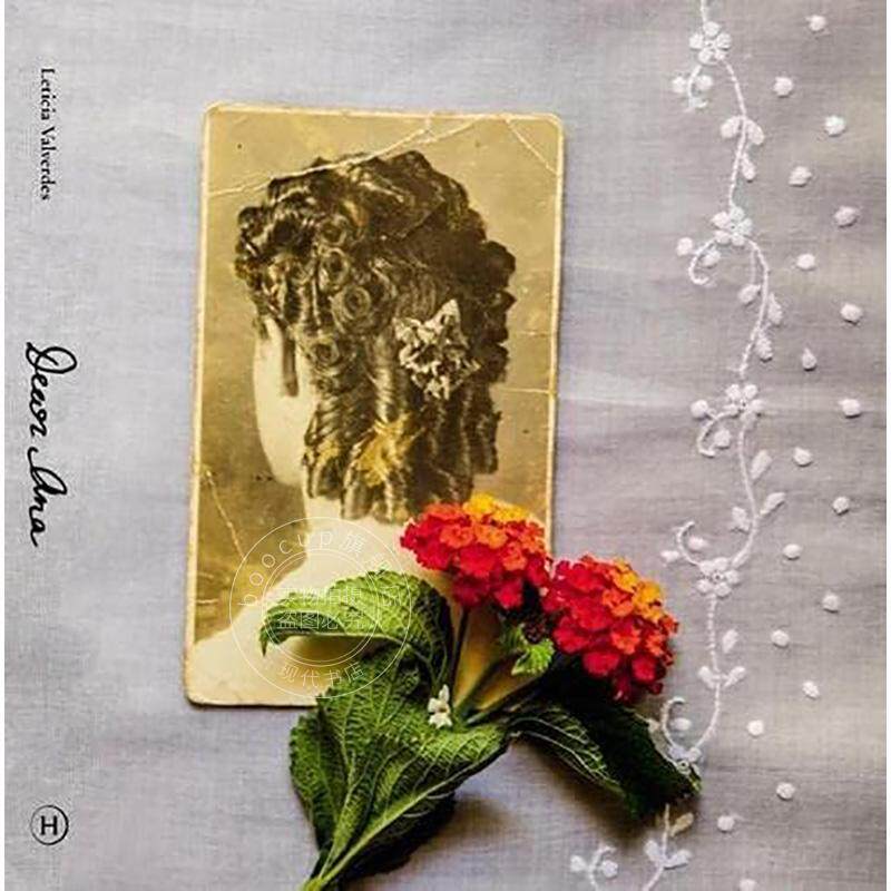 莱蒂西亚·瓦尔韦德斯 亲爱的安娜 英文原版 艺术画册 Leticia Valverdes Dear Ana