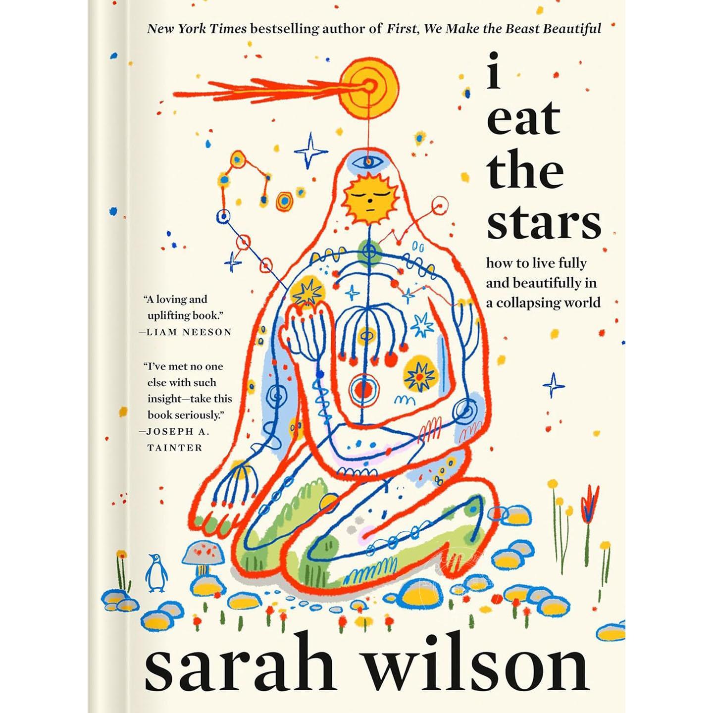 我吞噬星辰 面对恐慌焦虑的世界的勇气 莎拉·威尔逊 Sarah Wilson 英文原版 I Eat the Stars