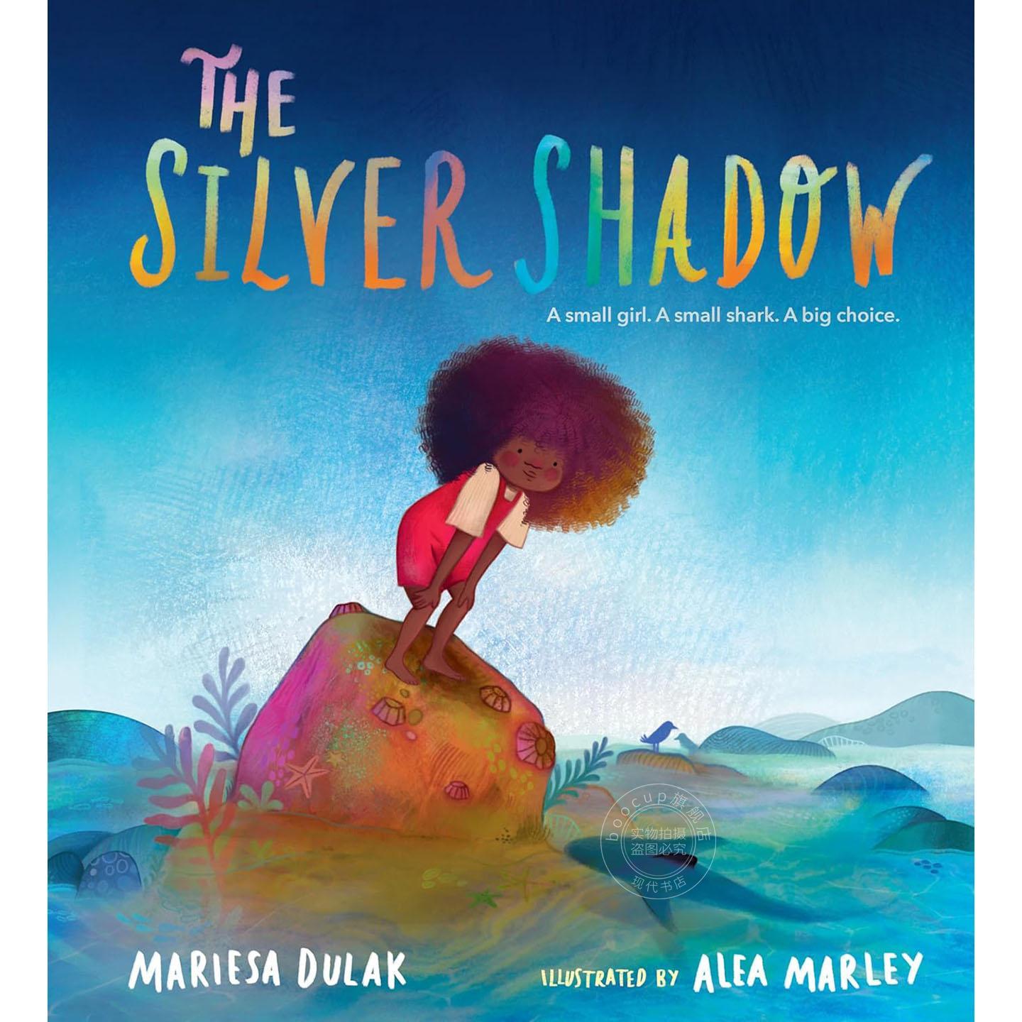 银色幻影 儿童色彩绘本 奇幻故事书 玛丽莎·杜拉克 Mariesa Dulak 英文原版 The Silver Shadow 3-7岁