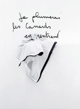 回家后我要拔鸭子的毛 法文原版 Je plumerai les canards en rentrant