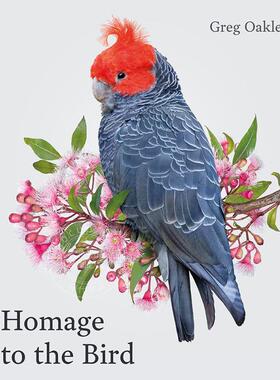 向鸟儿致敬 Greg Oakley 摄影艺术作品集 英文原版 Homage to the Bird
