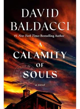 现货 灵魂之灾 戴维·鲍尔达奇 悬疑小说 英文原版 A Calamity of Souls