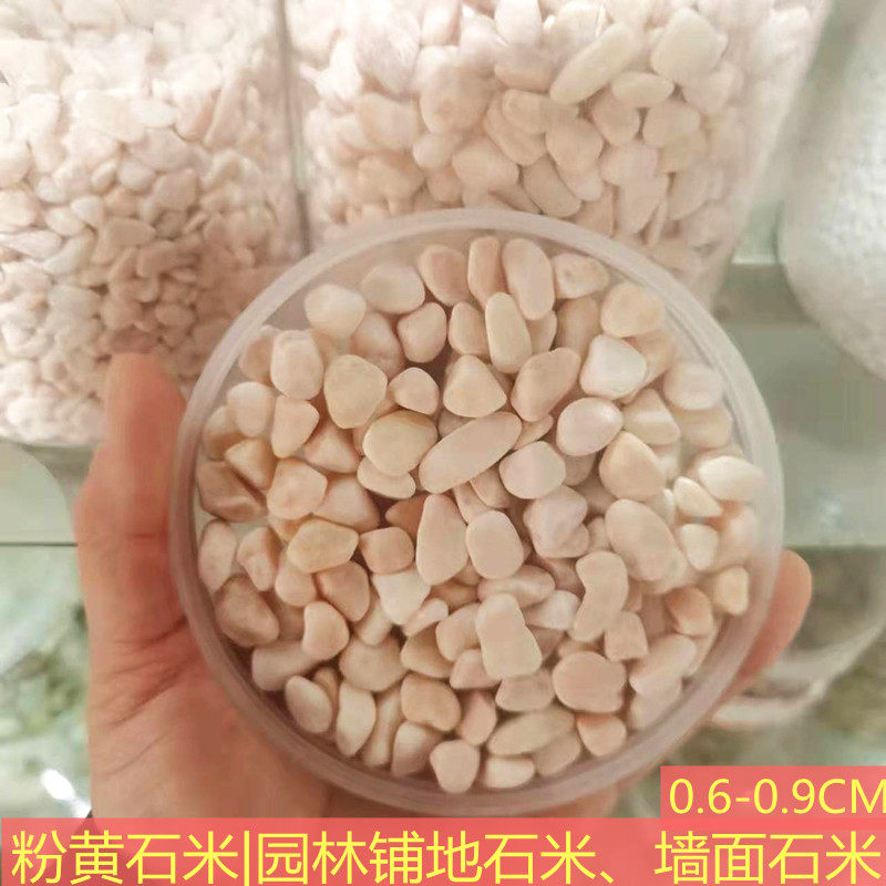 粉黄色石米浅黄色石米淡黄色石米园林铺石米墙面石米水洗石洗米石