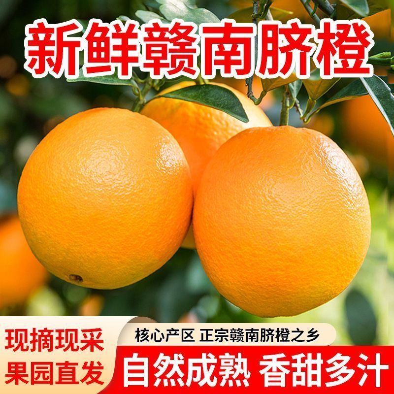 江西赣南脐橙新鲜现摘香甜爆汁