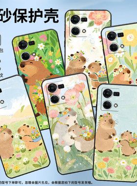 适用OPPOF9手机壳F1s超薄F3Plus防摔CPH1823商务可爱水豚0pp0F11Pro/F25Pro保护套CHP2219硅胶F21Pro软壳