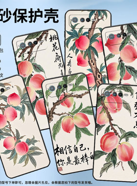 适用华硕ROG6手机壳AI2201_D全包9Pro软壳AsusROGPhone8耐磨ROG8Pro商务水彩桃子AI2205_C硅胶ROG9保护套