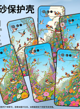 适用华硕ROG6手机壳AI2201_D全包边ROG7软壳AsusROGPhone8耐磨9Pro商务枝头上鸳鸯AI2205_C硅胶ROG9保护套