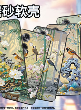适用一加NordN20SE手机壳一加8Nord防摔超薄OnePlusNord高级感磨砂壳画眉鸟一加10R时尚全包潮流保护套