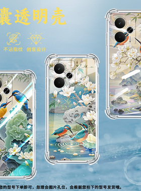 适用Realme14Pro+气囊壳Realme14Pro四角防摔真我14高级感Realme14ProLite手机壳翠鸟中国风保护套
