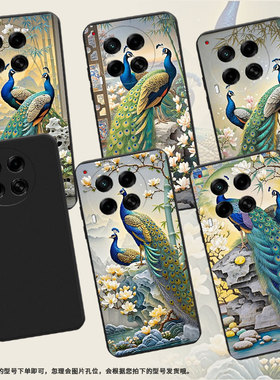 适用传音TecnoCamon30Pro手机壳高级感Camon30s防摔TecnoCamon30磨砂壳孔雀Camon30sPro全包边保护套