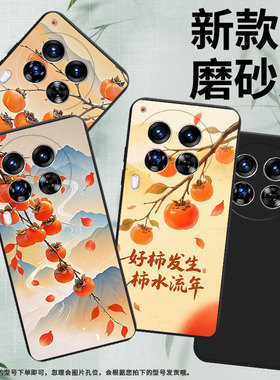 适用传音TecnoCamon40Pro手机壳中国风柿子树枝Camon30Premier全包边磨砂壳TecnoCamon40商务时尚保护套