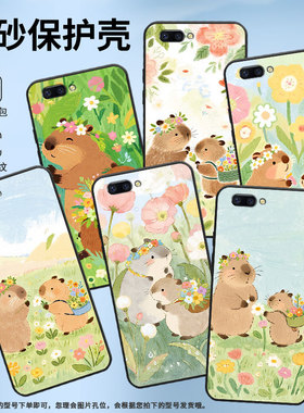 适用OPPOR9ｍ手机壳R9s防摔X9079纯黑色R11超薄0pp0R11s保护套R15x商务R17/A59高级CPH1715水豚采花外壳