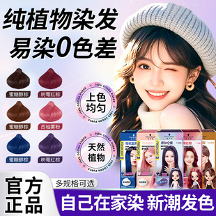 施华蔻染发膏霜泡泡染发剂女自己在家染流行色璀璨灰棕黑茶色显白