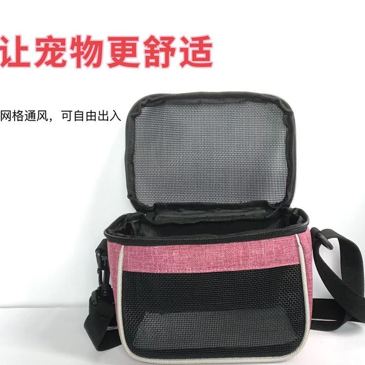 透气小宠物单肩便携包小鸟鹦鹉荷兰猪外带小宠物包夏天透气斜挎包