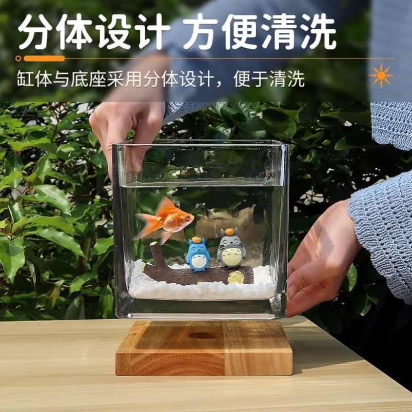 加厚透明方形鱼缸客厅小型宫崎骏造景玻璃缸生态金鱼缸斗鱼专用缸