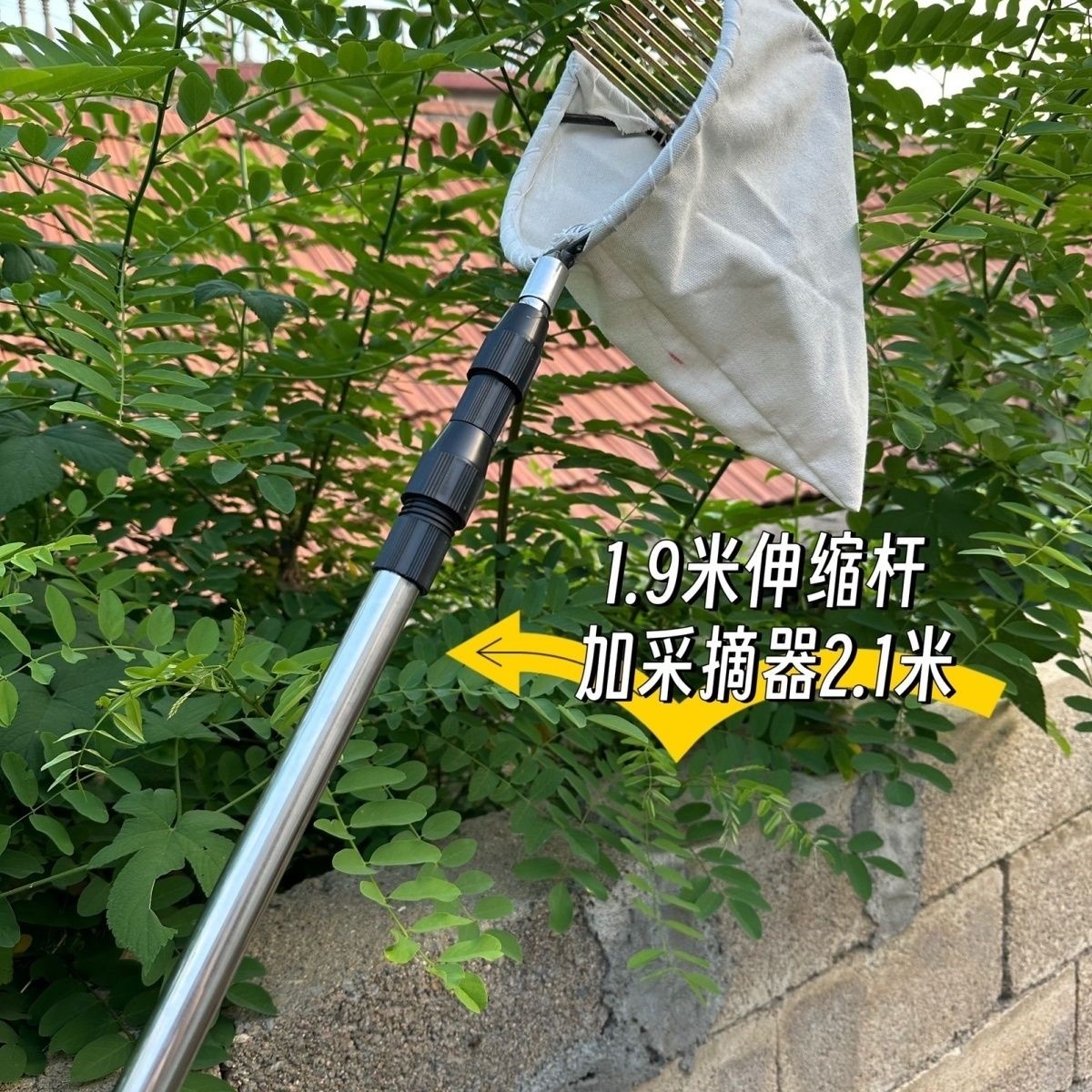 伸缩杆款多功能采摘神器柏树酸枣大枣山枣女贞子山楂油茶