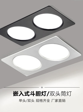 黑白双头筒灯嵌入式超薄轻奢客厅