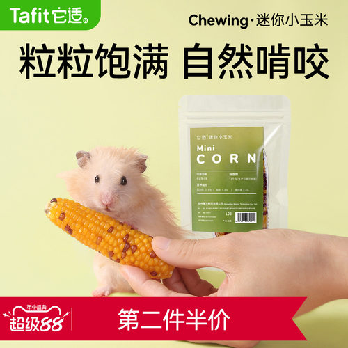 仓鼠磨牙小玉米金丝熊零食