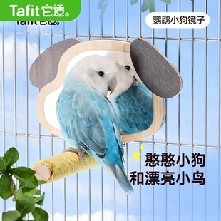 它适鹦鹉站杆鸟站架解闷自嗨啃咬玄凤牡丹虎皮磨爪棒互动训练玩具