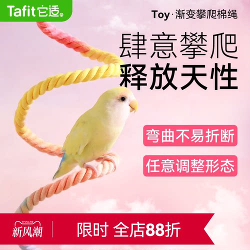 它适鹦鹉旋转攀爬绳玄凤牡丹虎皮秋千攀爬玩具棉绳站杆鸟鹦鹉用品