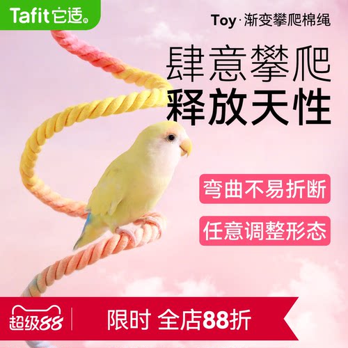 它适鹦鹉旋转攀爬绳玄凤牡丹虎皮秋千攀爬玩具棉绳站杆鸟鹦鹉用品