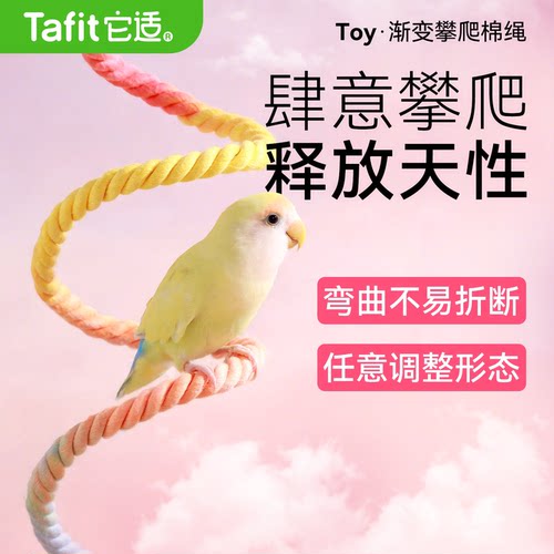它适鹦鹉旋转攀爬绳玄凤牡丹虎皮秋千攀爬玩具棉绳站杆鸟鹦鹉用品
