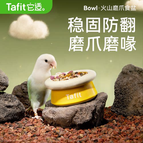 【鹦鹉磨爪食盆】独特造型