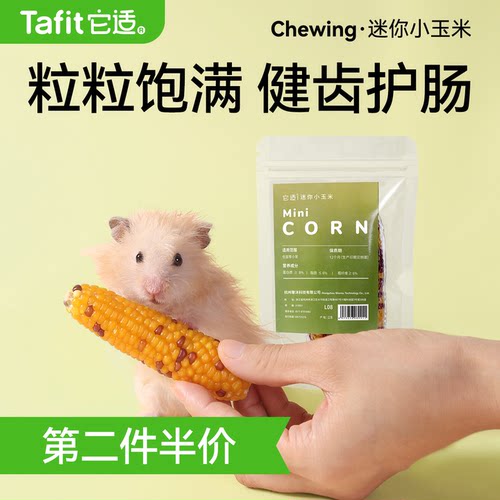 仓鼠磨牙小玉米金丝熊零食